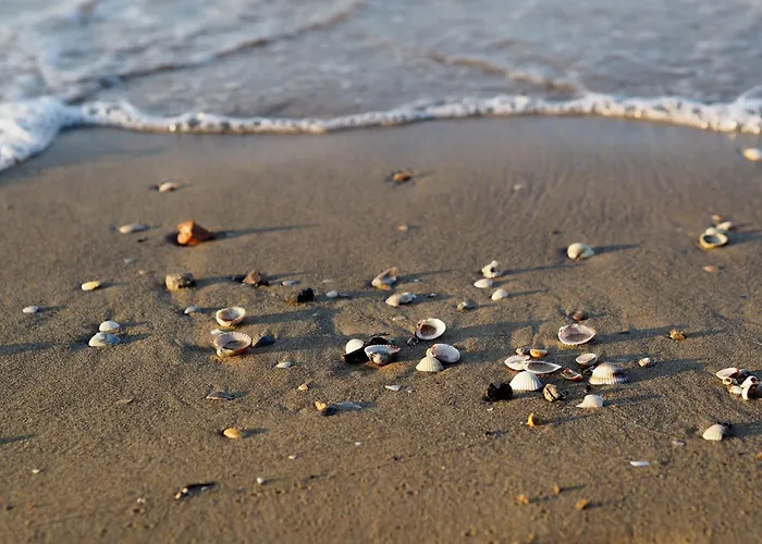 Warm Flat In The Heart Of - Beahost